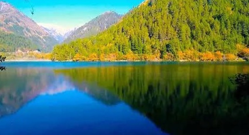 海角社区 - 连接你我的温暖交流平台