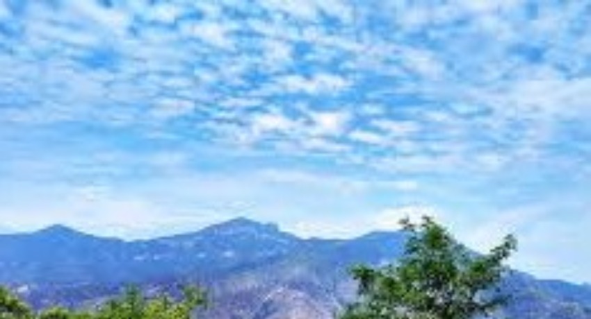 我们的初心 - 海角社区 - 用创意连接品牌与用户的出发点